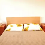In With Sea View, Balcony, Air Conditioning, Wifi *